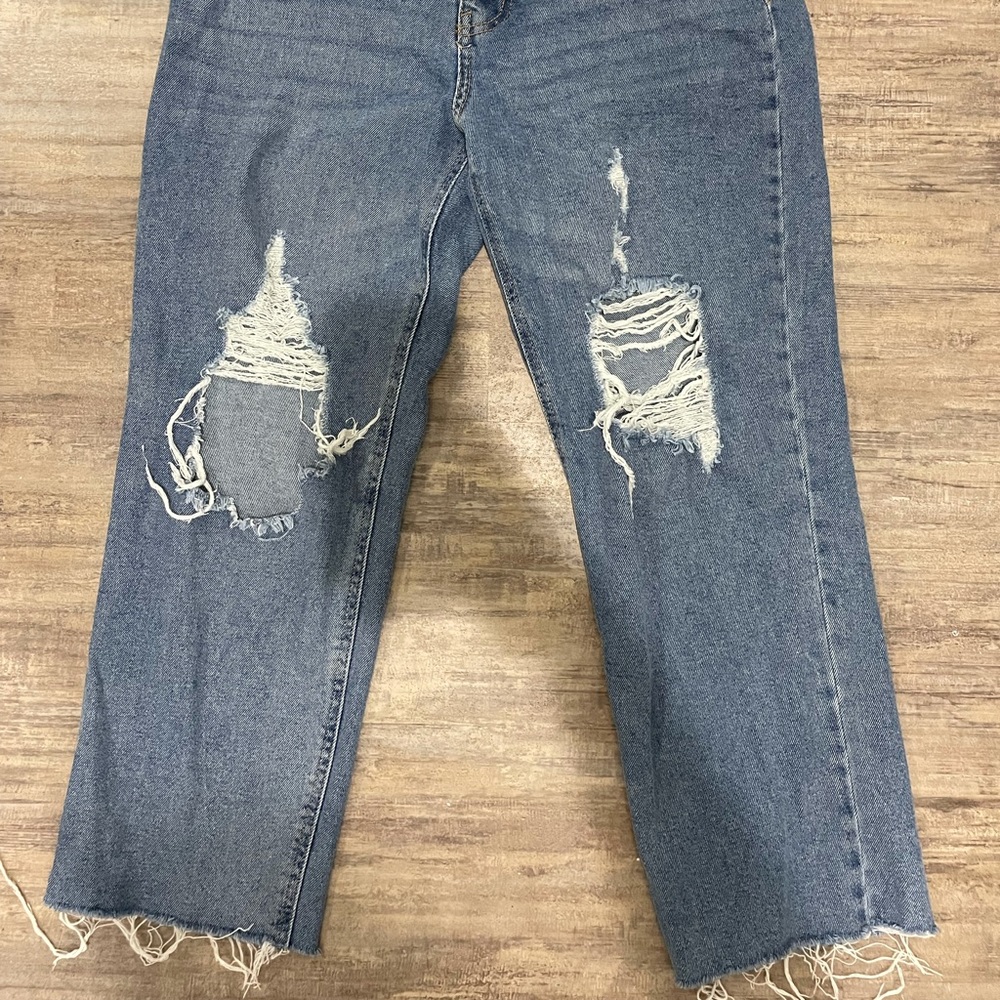 Cropped Wild Fable Distressed jeans